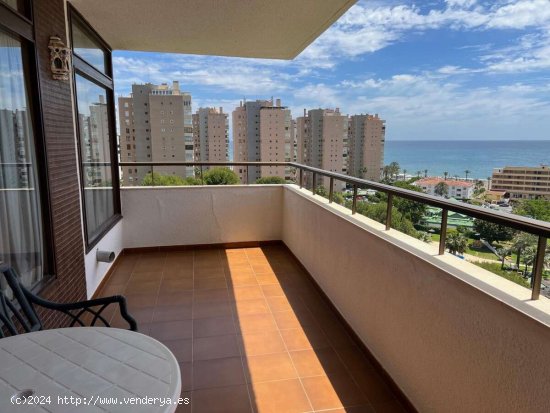 APARTAMENTO URBANIZACION 1º LINEA DE PLAYA, PLAYAMAR - Torremolinos