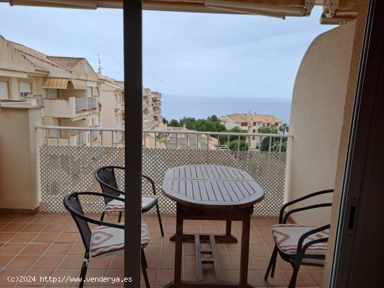 Apartamento en Alquiler vacacional en Dehesa De Campoamor Alicante