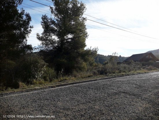 TERRENO URBANO CON PRECIOSAS VISTAS A MONTSERRAT EN VENTA EN CASTELLBELL I EL VILAR.