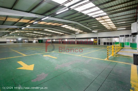  Nave Industrial Venta Erandio Bizkaia 