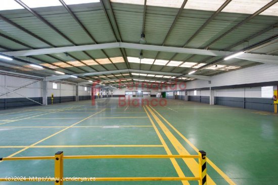 Nave Industrial Venta Erandio Bizkaia