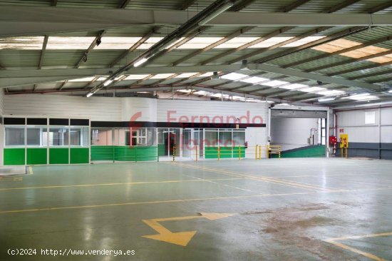 Nave Industrial Venta Erandio Bizkaia