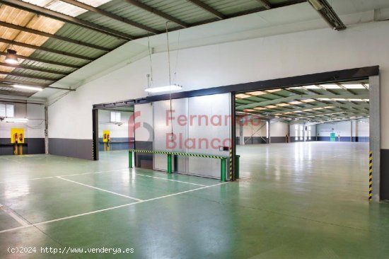 Nave Industrial Venta Erandio Bizkaia