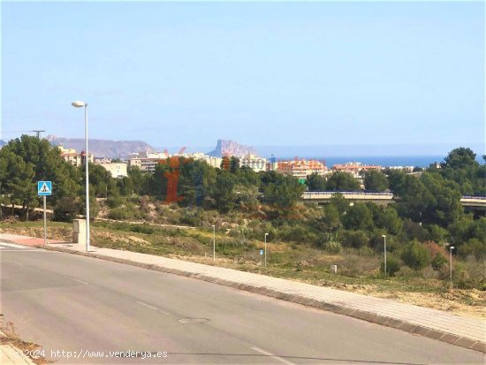 Parcela con vistas al mar.