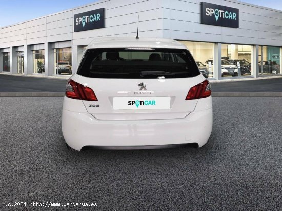 Peugeot 308  5p  BlueHDi 130 S&S Active Pack - LORCA