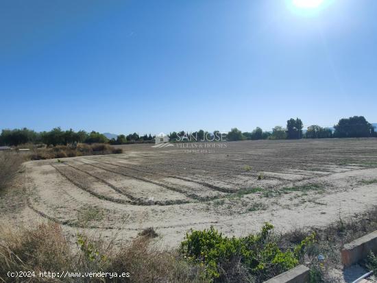  inmobiliaria san José vende parcela rustica en carretera de Monforte - ALICANTE 