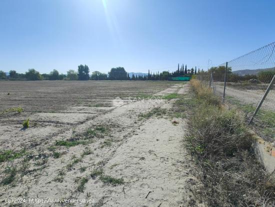 inmobiliaria san José vende parcela rustica en carretera de Monforte - ALICANTE