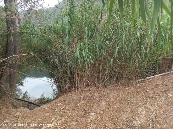  OPORTUNIDAD FINCA DE REGADIO EN MIRAVET CON ACCESO DIRECTO AL RIO EBRO. - TARRAGONA 