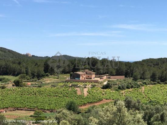 Finca rústica con dos casas a cinco minutos de Sitges. - BARCELONA