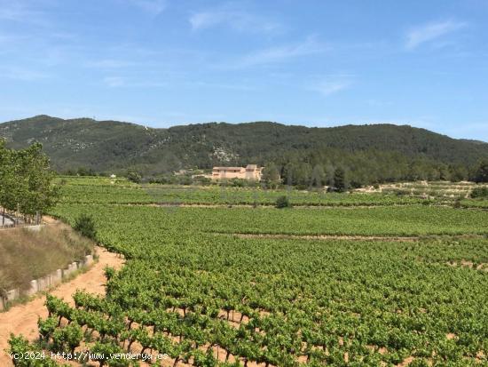 Finca rústica con dos casas a cinco minutos de Sitges. - BARCELONA