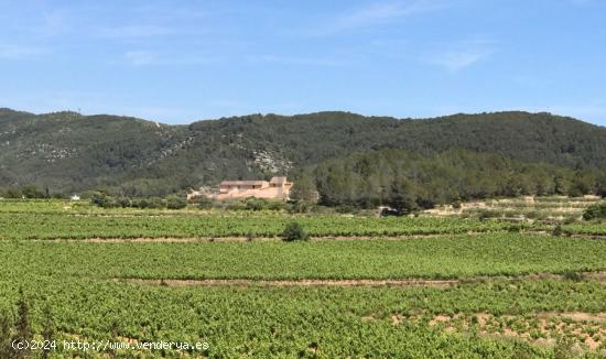 Finca rústica con dos casas a cinco minutos de Sitges. - BARCELONA