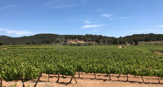 Finca rústica con dos casas a cinco minutos de Sitges. - BARCELONA