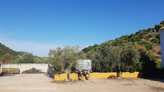 PROMOCIÓN DE DOS FINCAS  RUSTICAS  EN PARAJE LOS POLLOS - SEVILLA