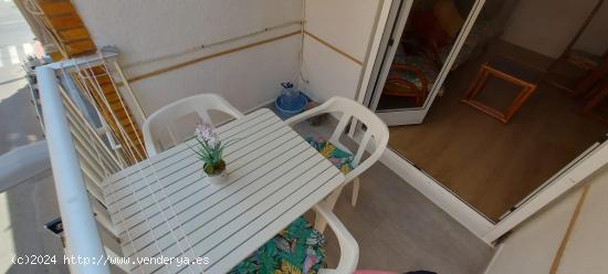 Piso en alquiler  en Puerto de Sagunto, 2 hab, 1 baño, vistas al mar. - VALENCIA