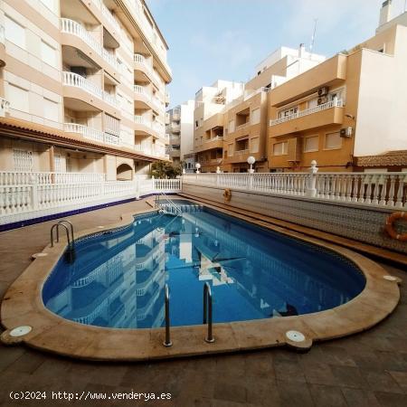 APARTAMENTO EN LA MATA  A 200 METROS DEL MAR y con PISCINA E - ALICANTE