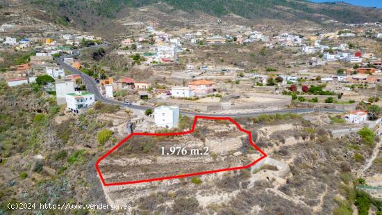 TERRENO PARA VIVIR Y CULTIVAR CON VISTAS AL MAR EN GÜIMAR. - SANTA CRUZ DE TENERIFE