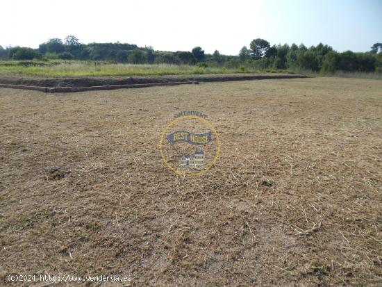 TERRENO EN ALBAIDA. - VALENCIA