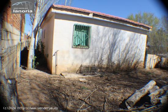 GRUPO LA NORIA VENDE PARCELA CERCA DE ALBACETE LEGALIZADA CON AGUA, LUZ, - ALBACETE