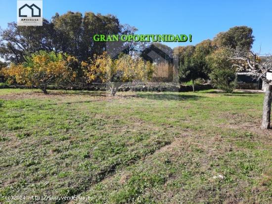  APIHOUSE VENDE TERRENO RUSTICO EN CANDELEDA. PRECIO DE VENTA 85.000€ - AVILA 