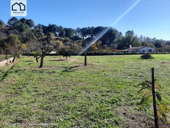 APIHOUSE VENDE TERRENO RUSTICO EN CANDELEDA. PRECIO DE VENTA 85.000€ - AVILA