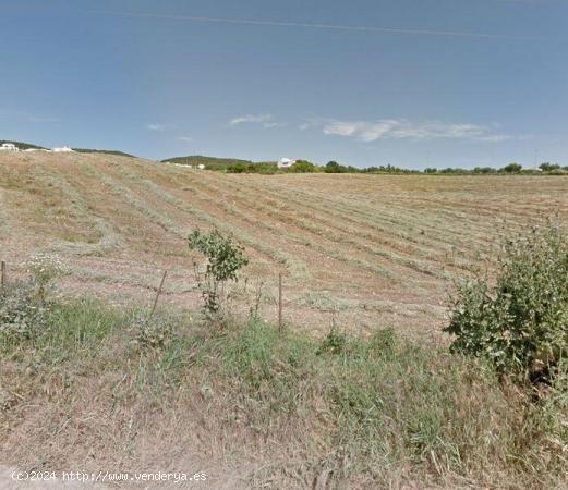  Venta de Suelo Urbanizable Residencial en PRADO BAJO Bornos (Cádiz) - CADIZ 