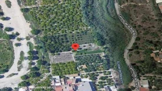 Terreno en venta en paraje Rincon Garcias, La Azacaya, Los Dolores Murcia - MURCIA