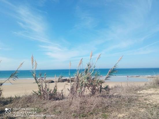 Se Vende en Vejer de la Frontera - CADIZ