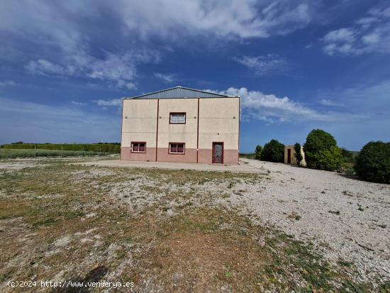 SE VENDE FINCA RUSTICA EN CAMPIÑA DE JEREZ - CADIZ