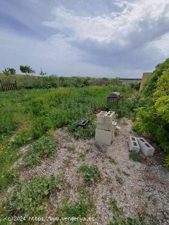 SE VENDE FINCA RUSTICA EN CAMPIÑA DE JEREZ - CADIZ