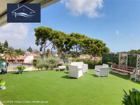  CHALET INDEPENDIENTE EN VENTA ALICANTE - ZONA VISTAHERMOSA - ALICANTE 