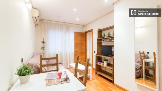 Piso de 1 habitación con baño privado en alquiler en el barrio de Salamanca, Madrid - MADRID