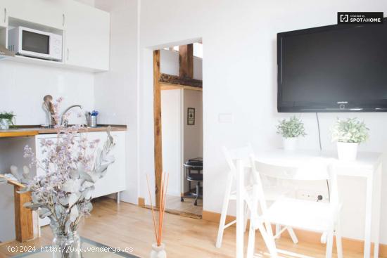 Precioso apartamento de 1 dormitorio con terraza en alquiler en Madrid Centro - MADRID