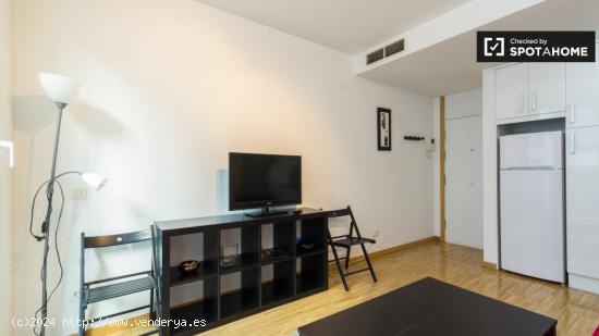 Luminoso apartamento de 1 dormitorio en alquiler cerca de Retiro, en el centro de Madrid - MADRID