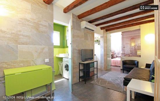 Elegante apartamento de 1 dormitorio en alquiler en El Raval - BARCELONA