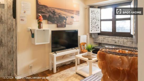 Elegante apartamento de 1 dormitorio en alquiler en Malasaña - MADRID