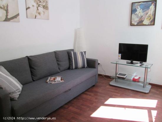 apartamento de 1 dormitorio en alquiler en Malasaña - MADRID