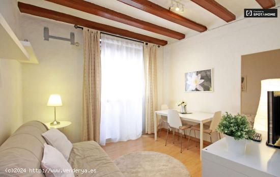 Encantador apartamento de 2 dormitorios en alquiler en El Raval - BARCELONA