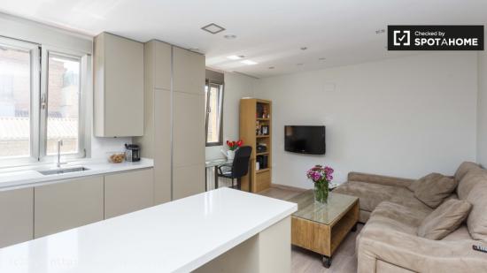 Elegante apartamento de 1 dormitorio con características modernas en alquiler en Rios Rosas - MADRI