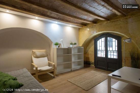 Precioso apartamento estudio en alquiler en El Raval - BARCELONA