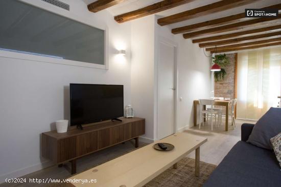 Amplio y moderno apartamento de 2 dormitorios en alquiler en El Raval - BARCELONA