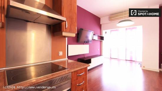 Amplio apartamento de 1 dormitorio con aire acondicionado en alquiler en Lavapiés - MADRID