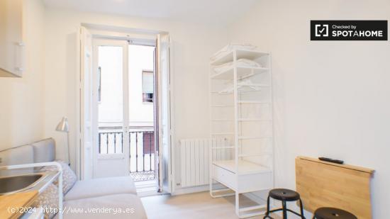 Acogedor apartamento en alquiler en el barrio de Malasaña - MADRID