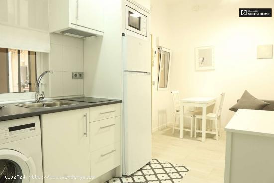 Apartamento de 1 dormitorio en alquiler en Lavapiés, Madrid - MADRID