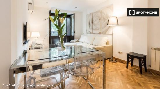 apartamento de 1 dormitorio en alquiler en Malasaña - MADRID