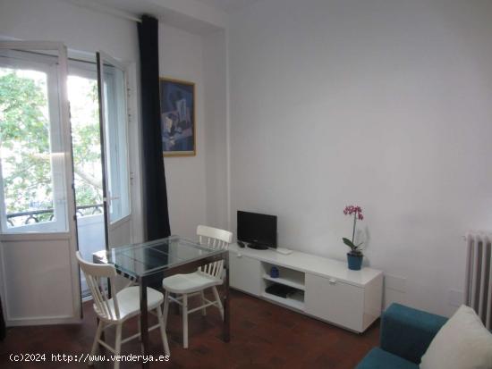 Apartamento de 1 dormitorio en alquiler en La Latina - MADRID