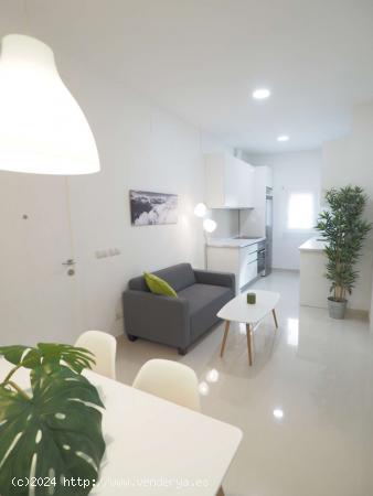 Apartamento de 1 dormitorio en alquiler en Almagro y Trafalgar - MADRID