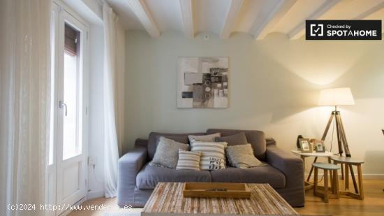 Moderno apartamento de 1 dormitorio en alquiler en El Raval - BARCELONA