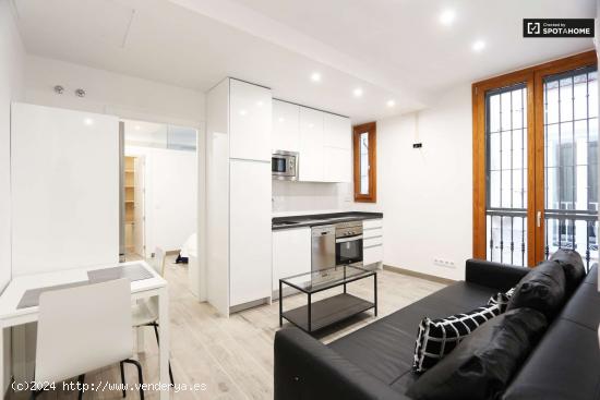 Tidy apartamento de 1 dormitorio en alquiler en Trafalgar - MADRID