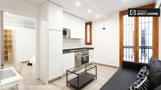 Tidy apartamento de 1 dormitorio en alquiler en Trafalgar - MADRID