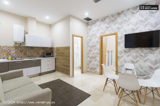  Encantador apartamento de 1 dormitorio con aire acondicionado y terraza en alquiler en Madrid Centro 